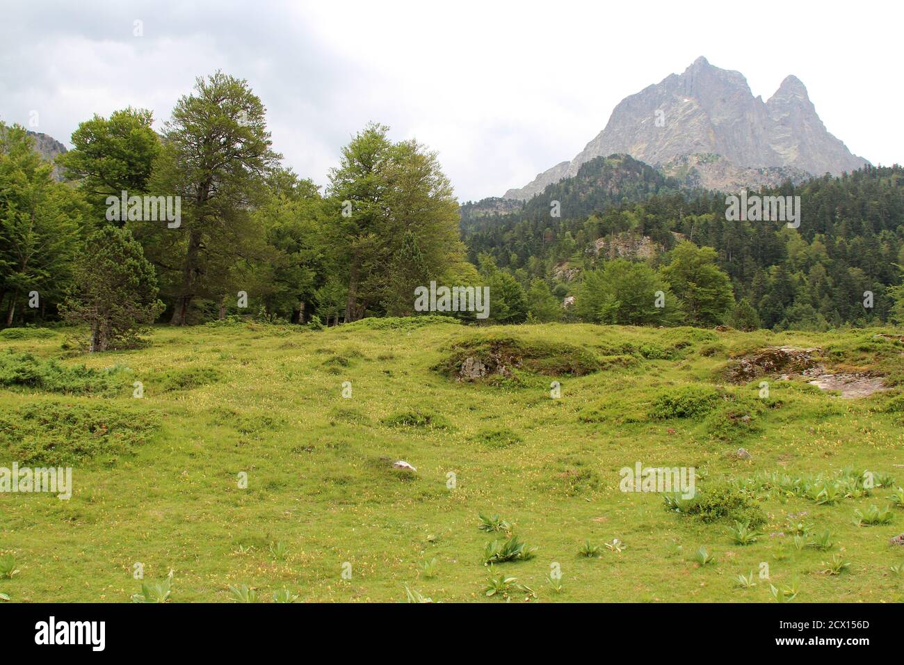 Landschaft in den französischen pyrenäen (frankreich) Stockfoto