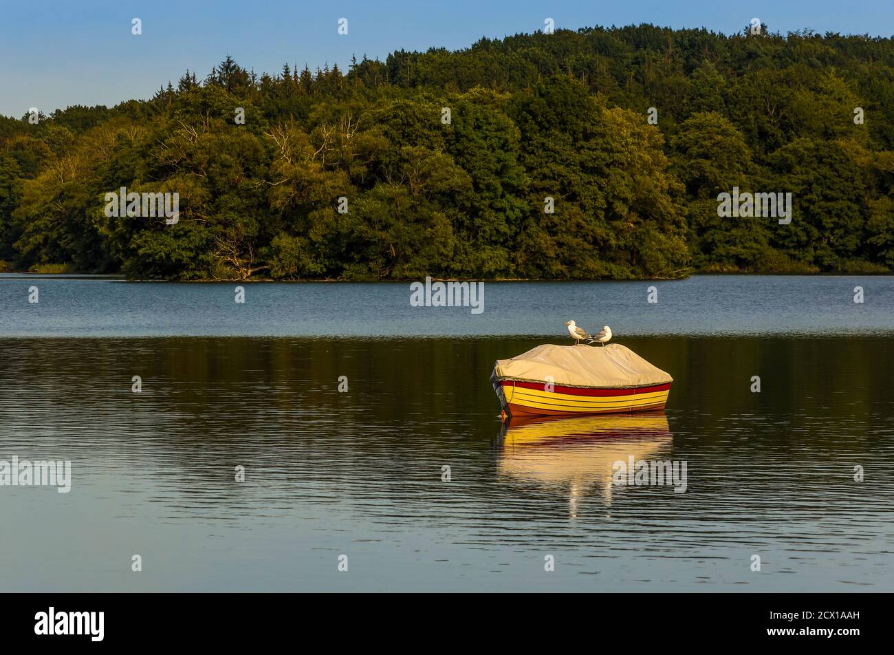 Das Foto zeigt den Dieksee, Deutschland, von seiner romantischen und schönen Seite. Stockfoto