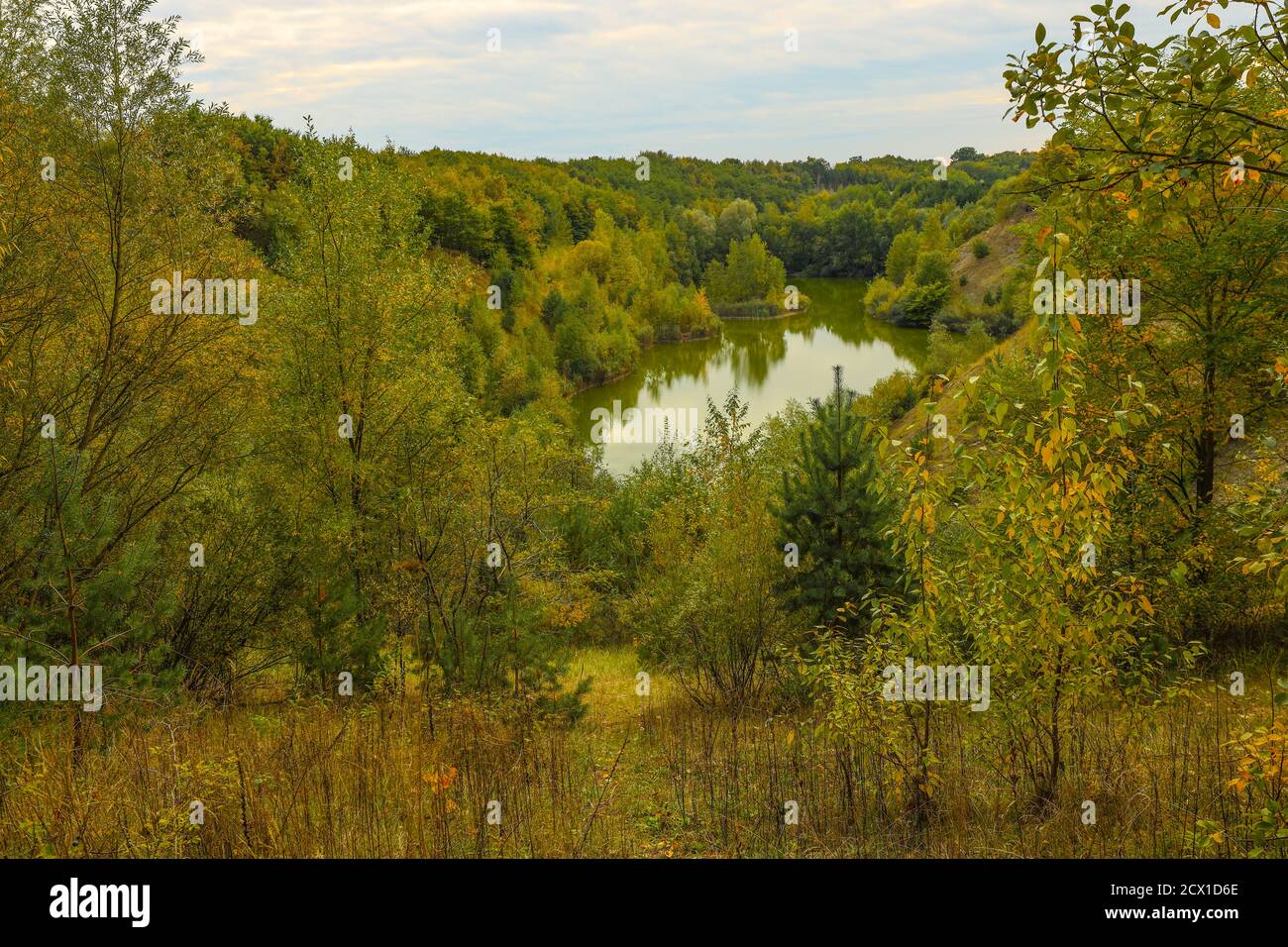 Nach der Renaturierung in Zusammenarbeit mit den Umweltbehörden geben die neuen Biotope vor allem seltenen Arten wertvollen Überlebensraum. Stockfoto