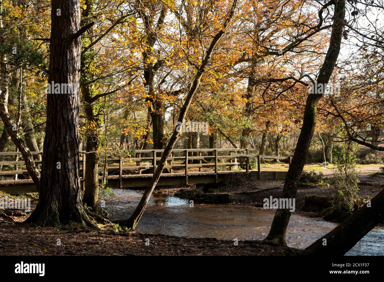 Eine Fußgängerbrücke über das Wasser im Herbst im New Forest, Hampshire. Stockfoto