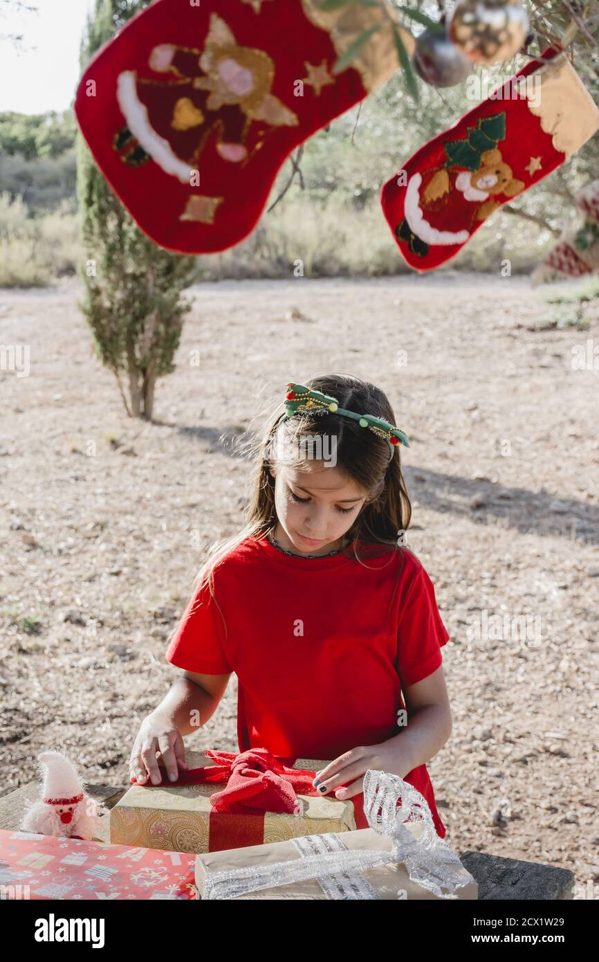 Ein Mädchen mit Geschenkschachteln und Weihnachtsdekorationen auf einem Picknicktisch und unter einem dekorierten Olivenbaum in der Feld bei Sonnenuntergang Stockfoto