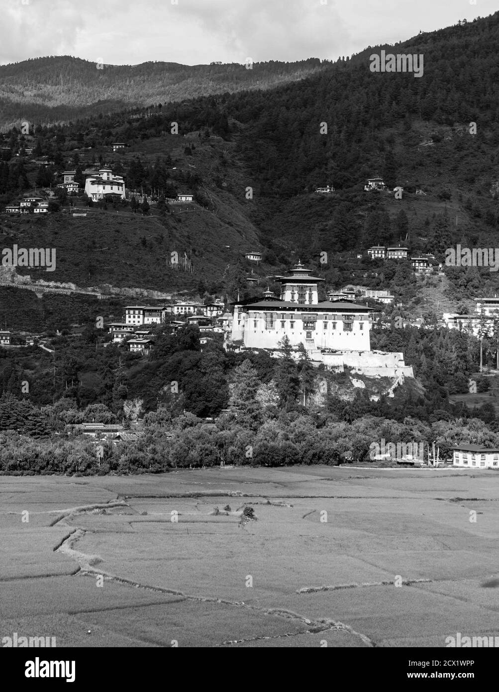 Panoramablick auf Rinpung Dzong (Paro Dzong), buddhistisches Kloster und Festung, und Reisfelder in Paro Tal, Bhutan Stockfoto