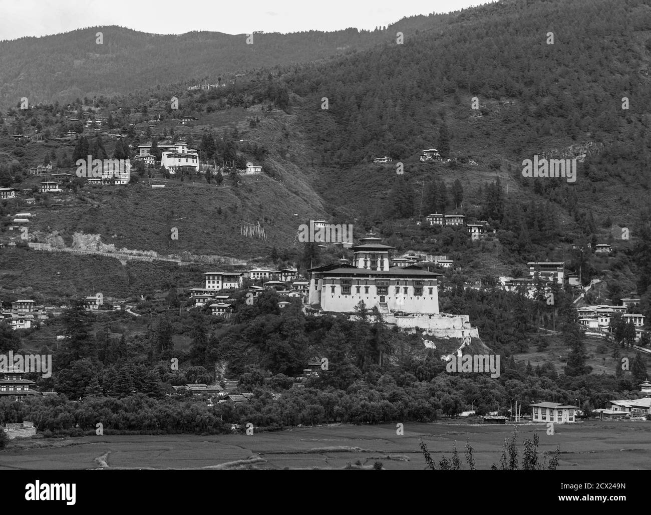 Panoramablick auf Rinpung Dzong (Paro Dzong), buddhistisches Kloster und Festung, und Reisfelder in Paro Tal, Bhutan Stockfoto