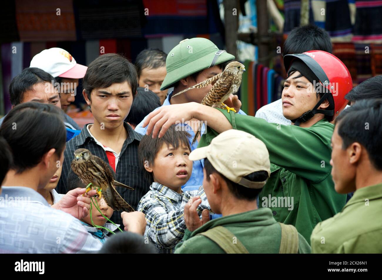 Vietnamesische Vogel Verkäufer Demonastrating ein Raubvogel auf einem Markt-Publikum. Bac Ha, Provinz Lao Cai, Vietnam Stockfoto