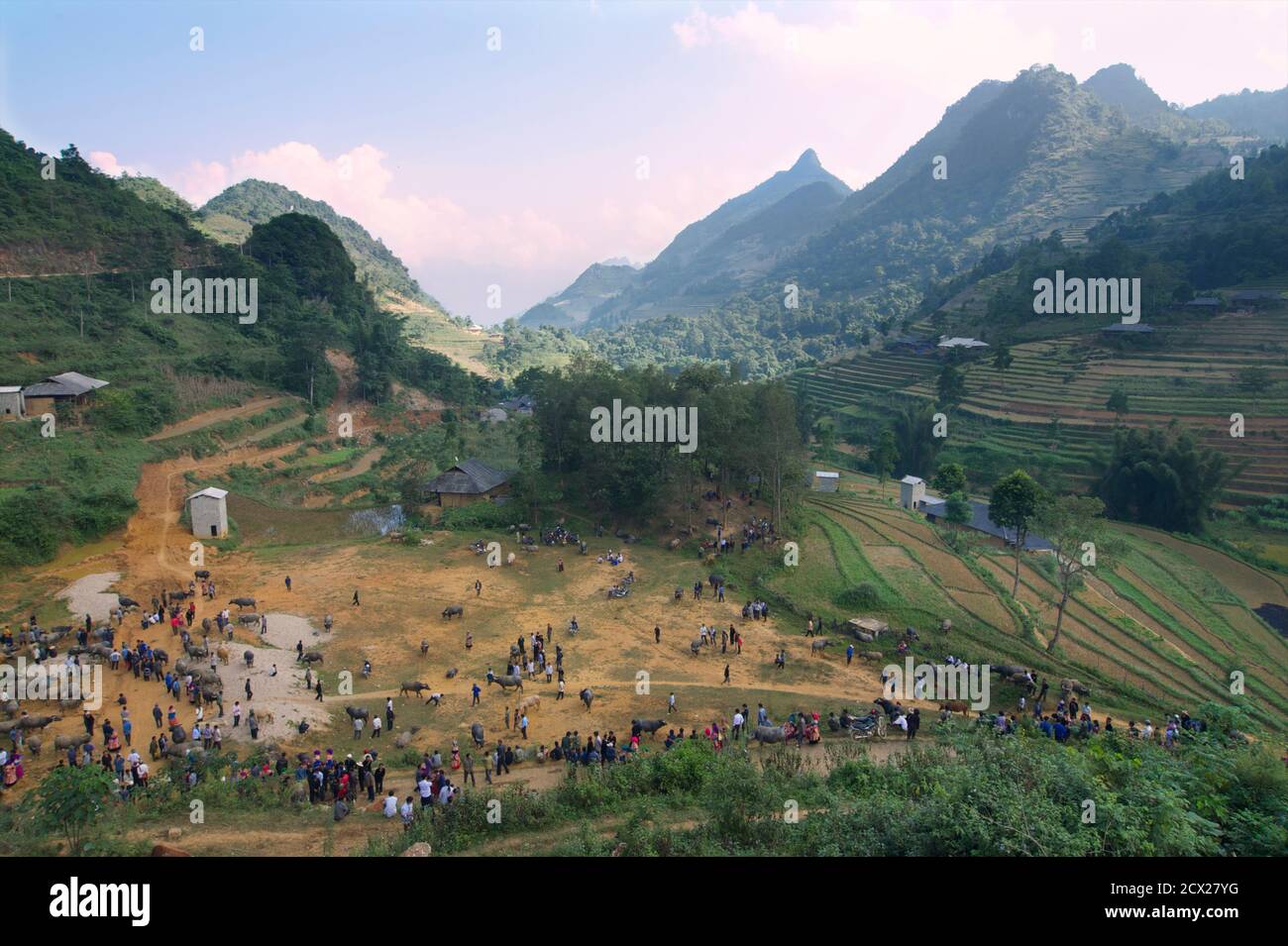 Mit Blick auf den Wasserbüffelmarkt, Can CAU, in der Nähe von Bac Ha, Vietnam Stockfoto
