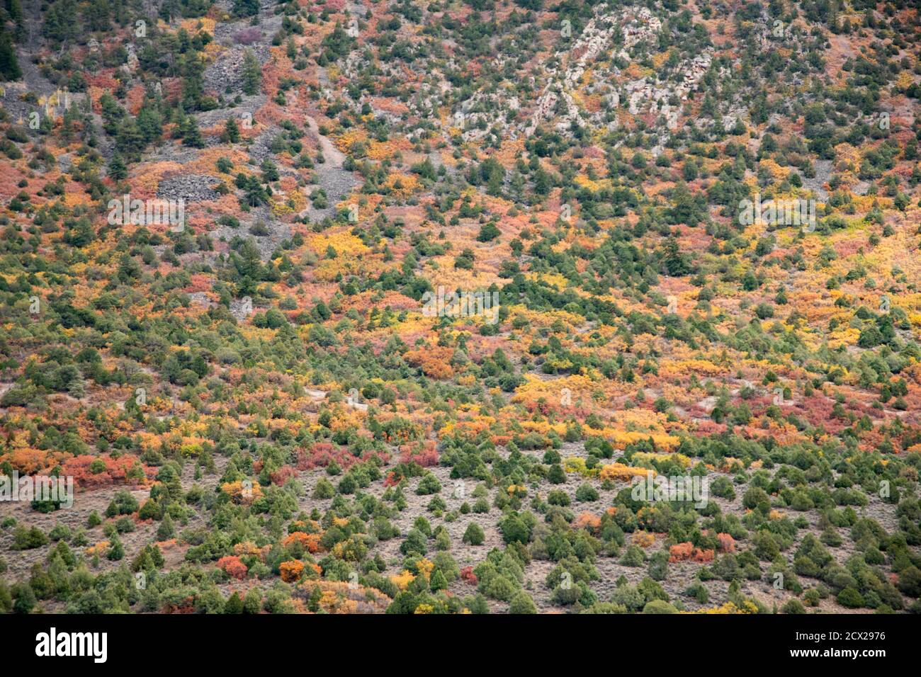 Luftaufnahme der Landschaft im Herbst Stockfoto