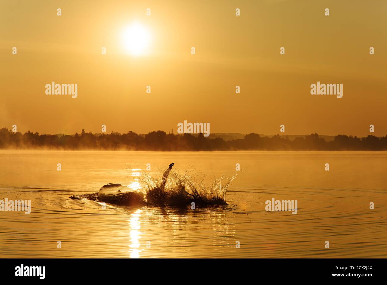 Wasser spritzt auf nebligen See aus Menschensprung gemacht Stockfoto