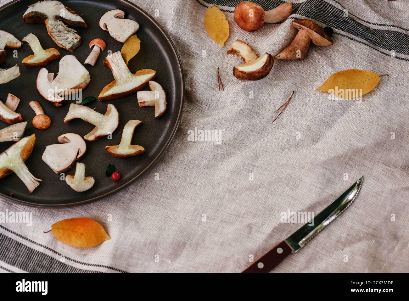 Auf dem Teller liegen die frischen Pilze in Scheiben, die Zubereitung der Pilzgerichte. Stockfoto