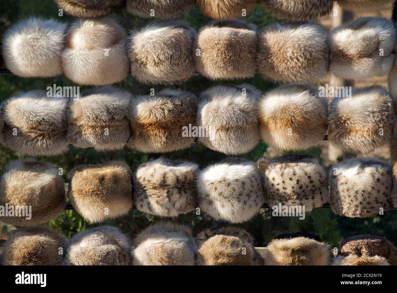 Tierfell und Nerzhüte Chiwa, Usbekistan Stockfoto