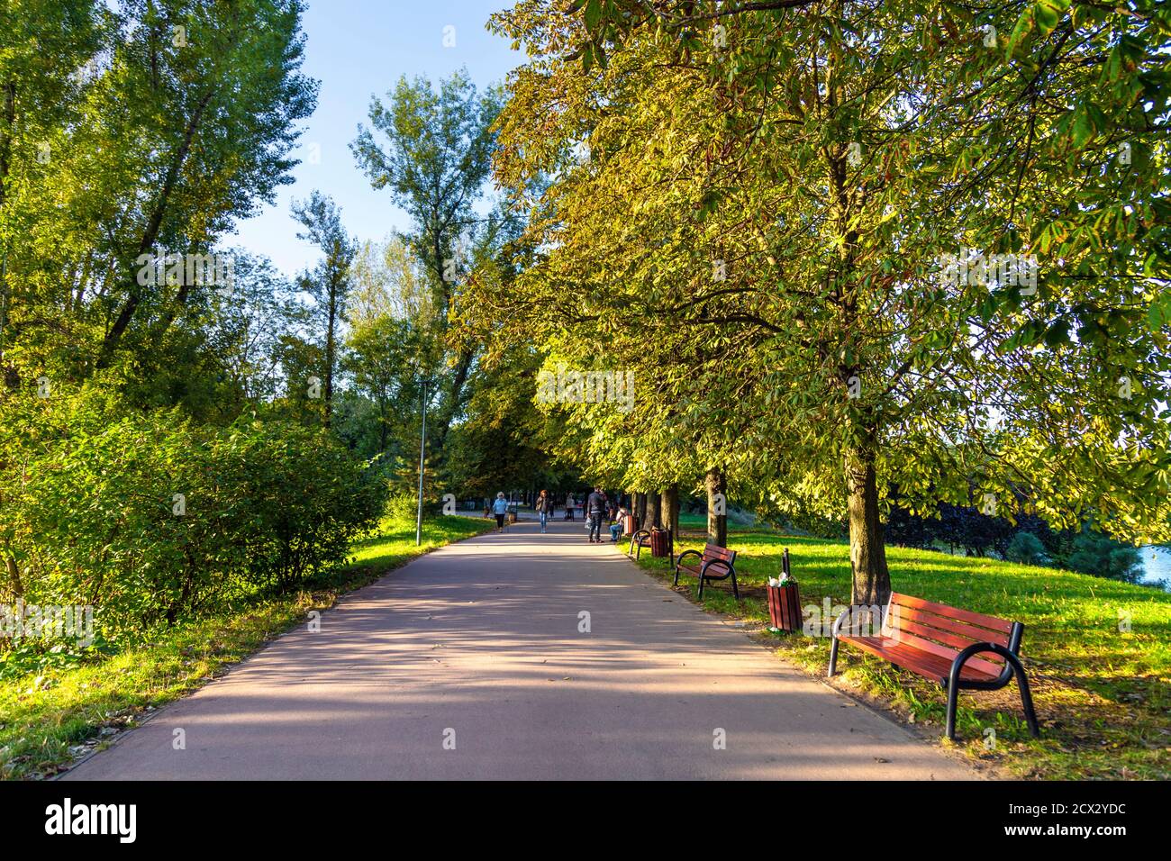 Gasse in Szczesliwicki Park (Park Szczęśliwicki), Ochota Bezirk, Warschau, Polen Stockfoto