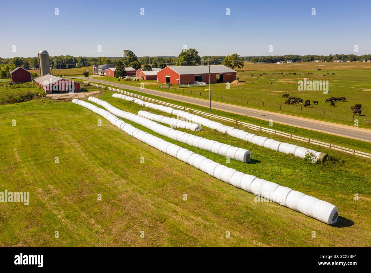 Middleville, Michigan - Hay, in Plastik verpackt, wird auf dem Boden auf John Seeber's West Michigan Rinderfarm gelagert. Das Silo des Betriebs wird nicht mehr genutzt Stockfoto