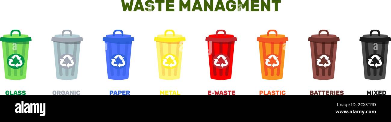 Vektordarstellung von Behältern für Müll verschiedener Typen. Abfallmanagement-Konzept. Keine Verschwendung, Sortierung und Recycling. Organisch, Papier, Kunststoff Stock Vektor