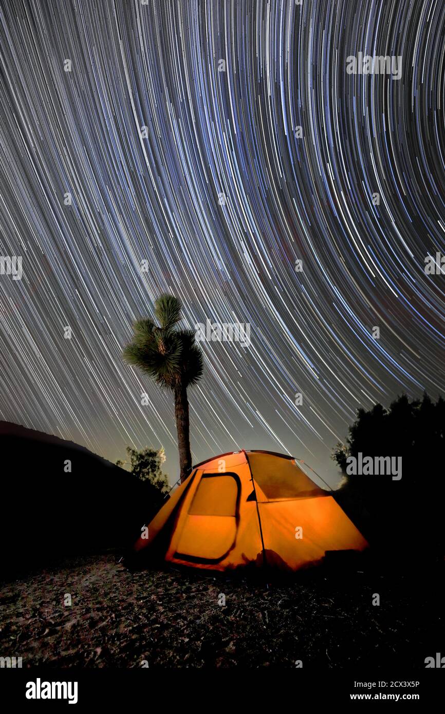 Camping bei Nacht mit Star Trails in Joahua Tree National Parken Stockfoto