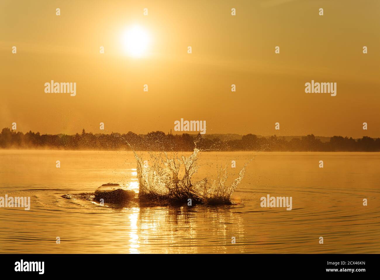 Junger Mann, der vom Brett in den See springt Stockfoto