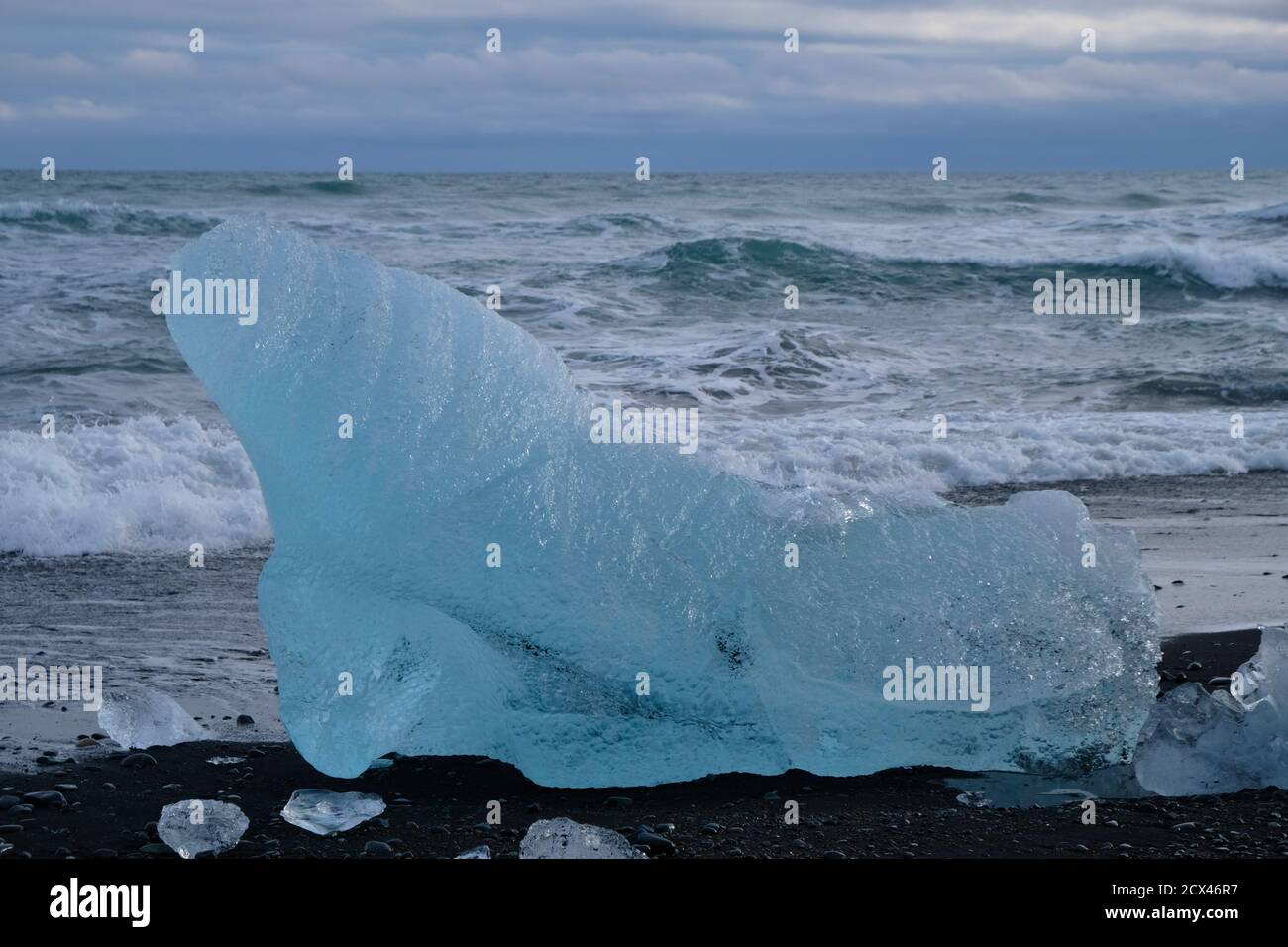 Eisberg, der aussieht wie eine Seekuh oder ein Walross, der im Winter auf schwarzem Sand am Jökulsarlon-Diamantenstrand gestrandet ist. Stockfoto