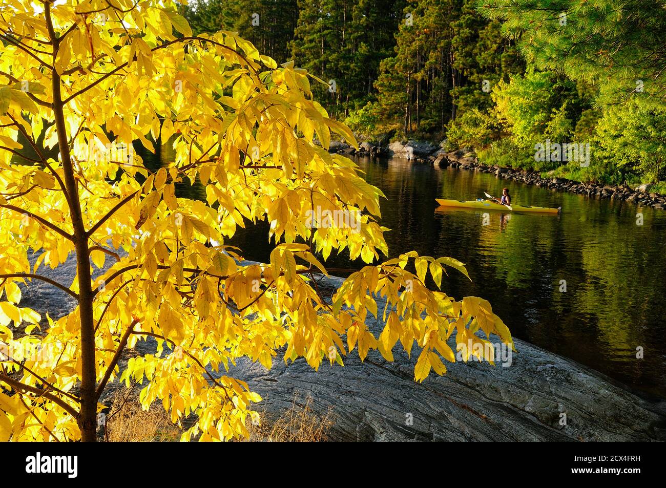 Nordamerika, Great Lakes, North Woods, Minnesota, Voyageur National Park, Kajak, Kajak, Stockfoto