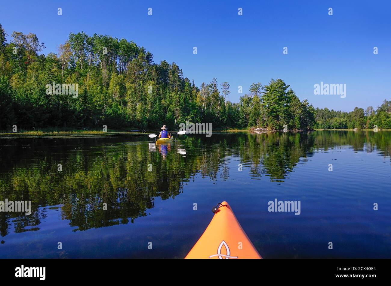 Nordamerika, Great Lakes, North Woods, Minnesota, Voyageur National Park, Ash River Area, Stockfoto