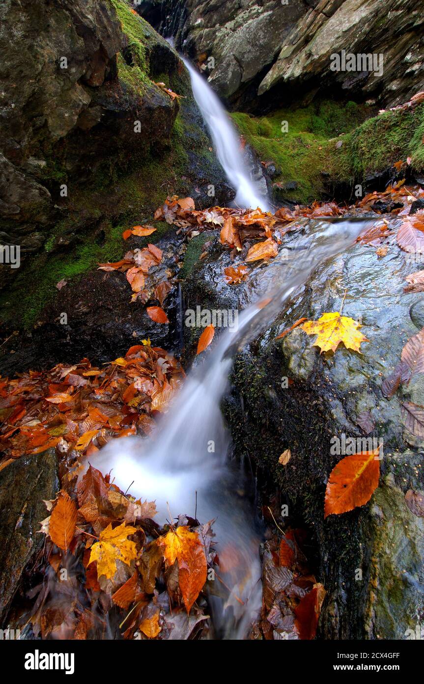 USA, New England, Massachusetts, Berkshire County, Greylock State Reserve, Wasserfall Stockfoto