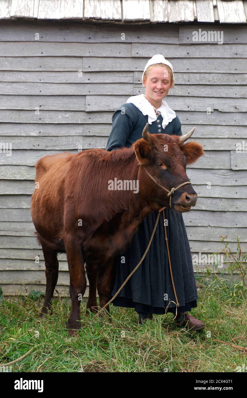 1627 Englisch Village, Plimoth Plantation, Plymouth, Massachusetts, USA Stockfoto