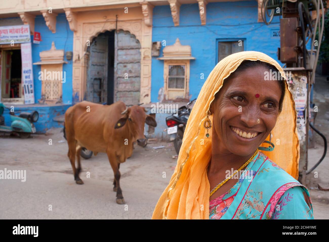 Happy Indian Womanl in bunten Sari. In der Straße mit Kuh im Hintergrund. Jodhpur, Rajasthan, Indien Stockfoto