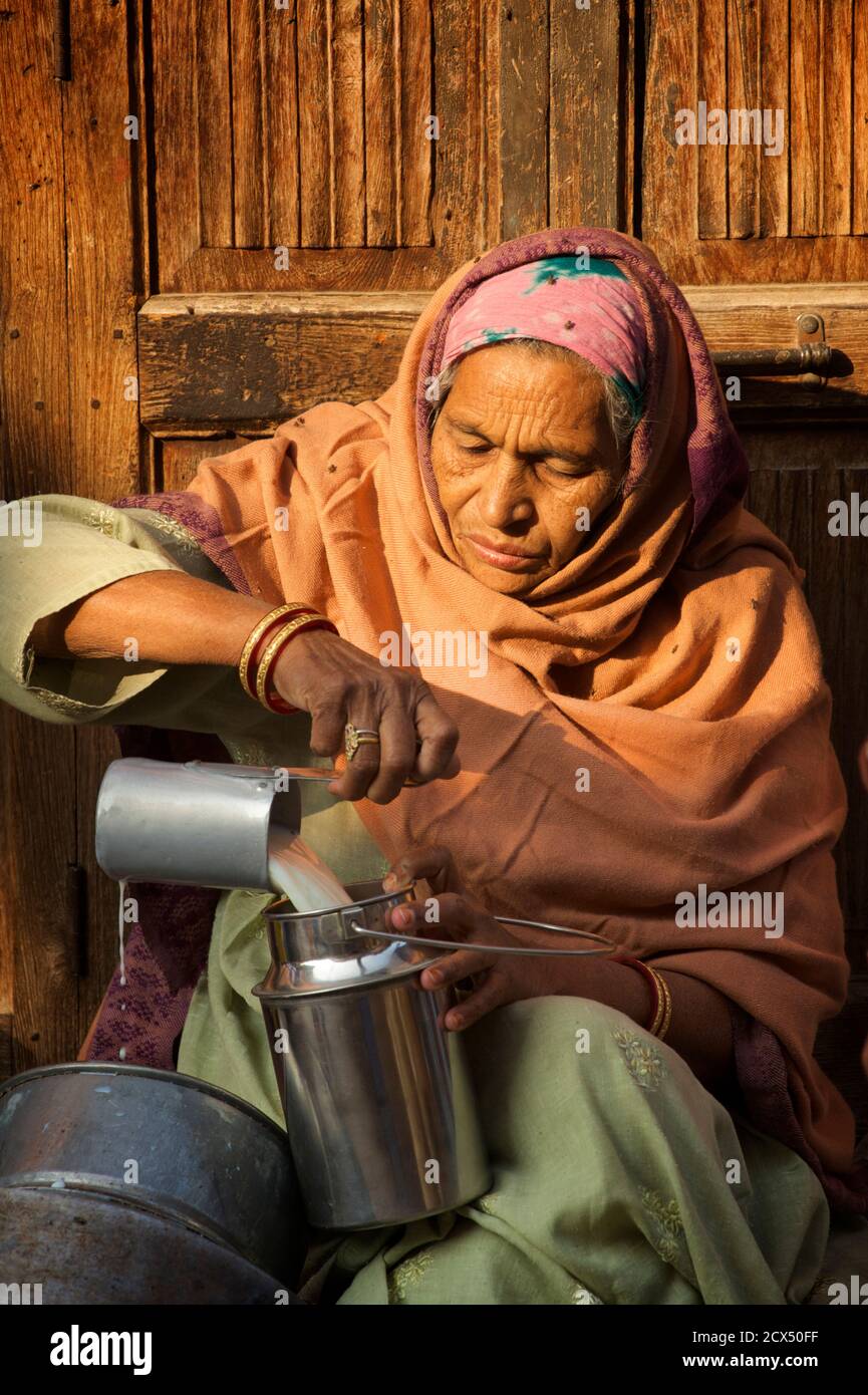 Indische Frau, die Milch abgibt, Jodhpur, Rajasthan, Indien Stockfoto