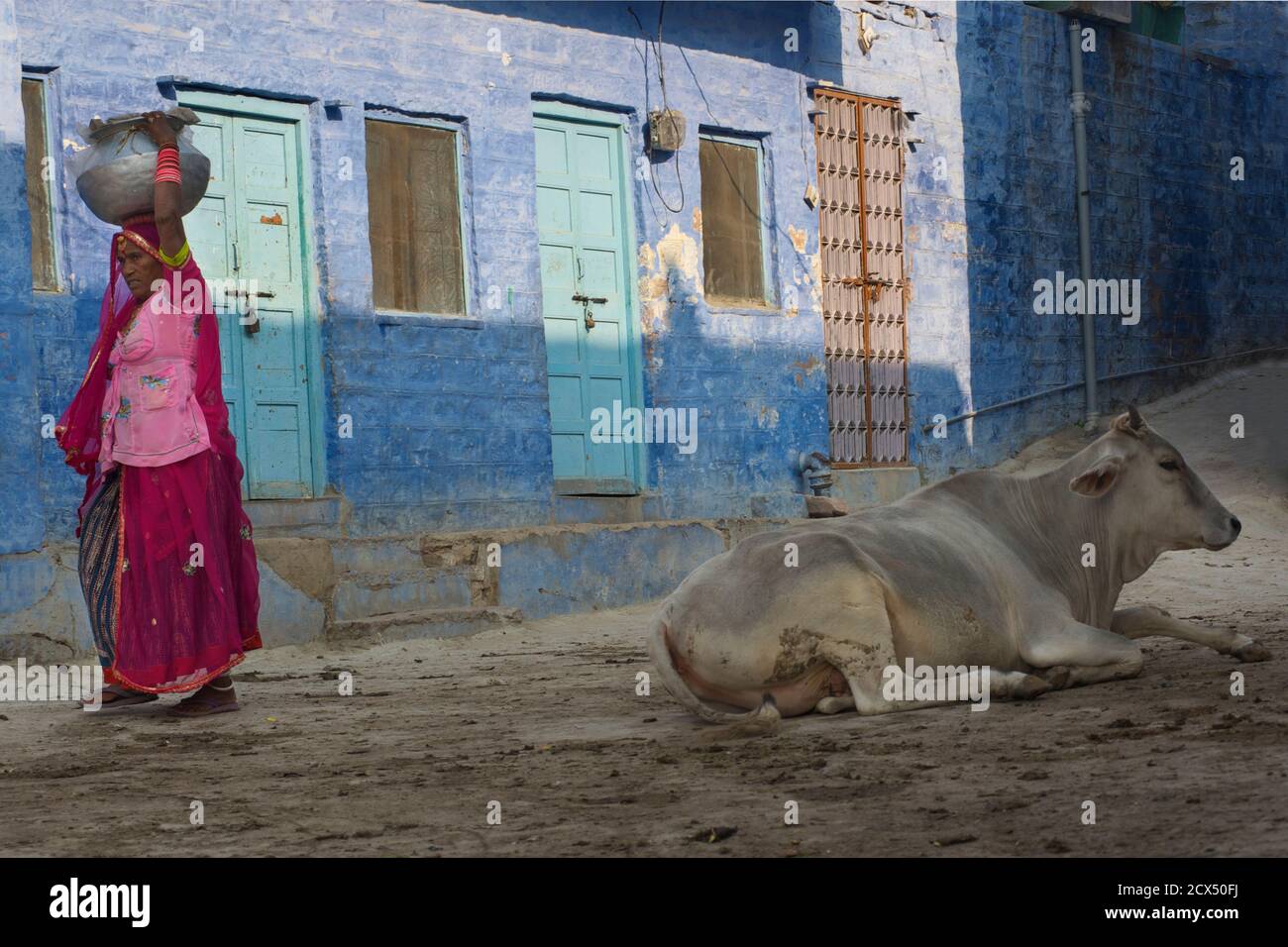 Straßenszene. Indische Frau mit Wasserkrug und Kuh. Blaue Wände von Jodhpur, Rajasthan, Indien Stockfoto