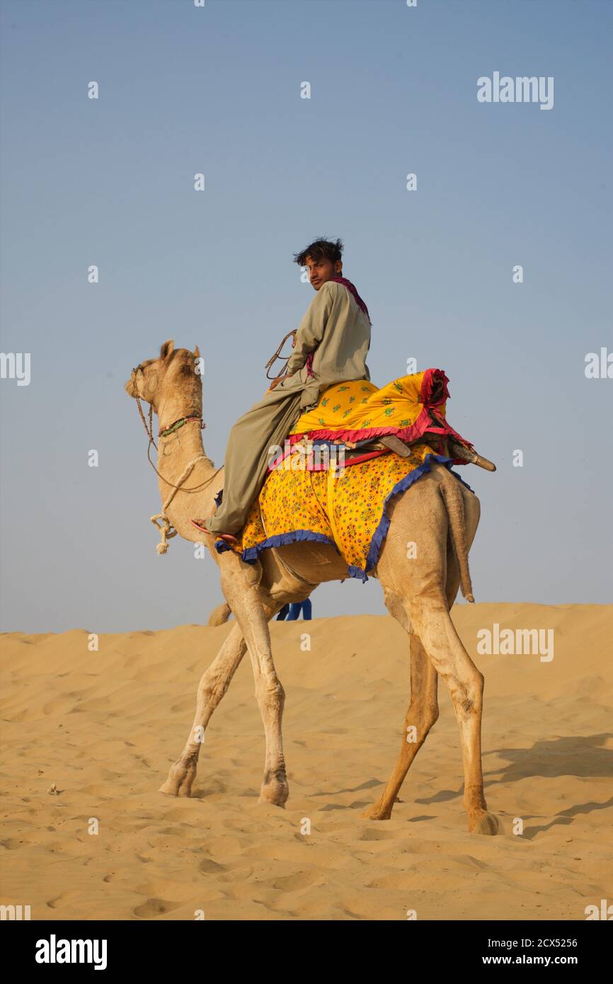 Kamelreiten in der Wüste Thar bei Sam, Rajasthan, Indien Stockfoto