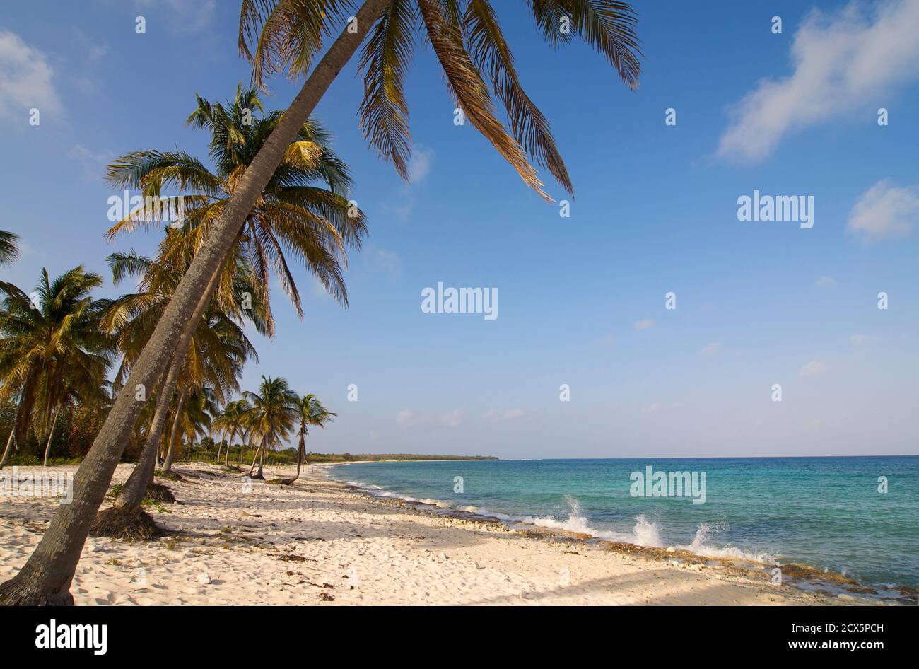 Der Strand von Maria La Gorda, Pinar Del Rio, Kuba Stockfoto
