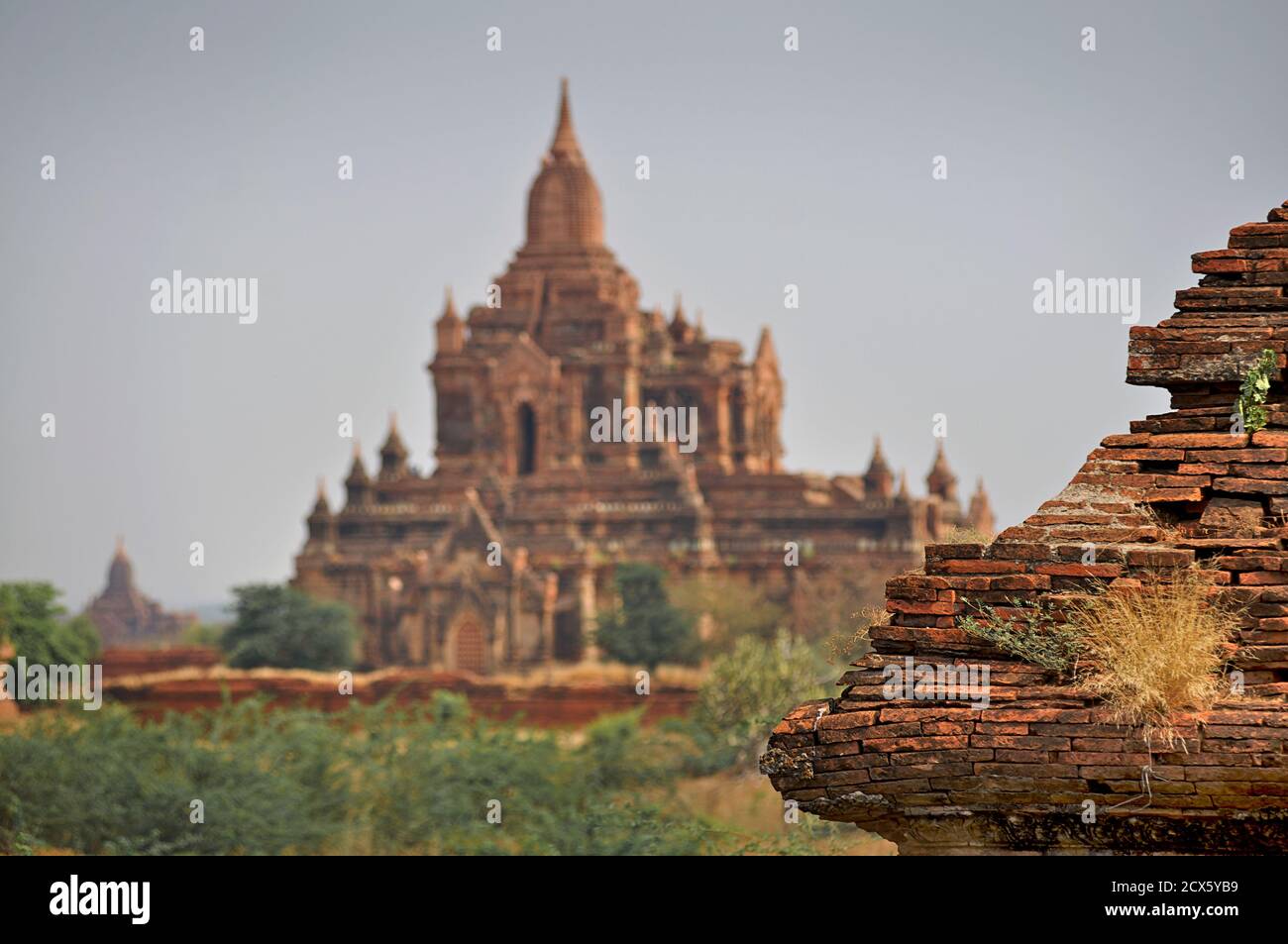 Blick über die Ebenen von Pagan vom alten Tempel. Birma. Bagan, Myanmar Stockfoto