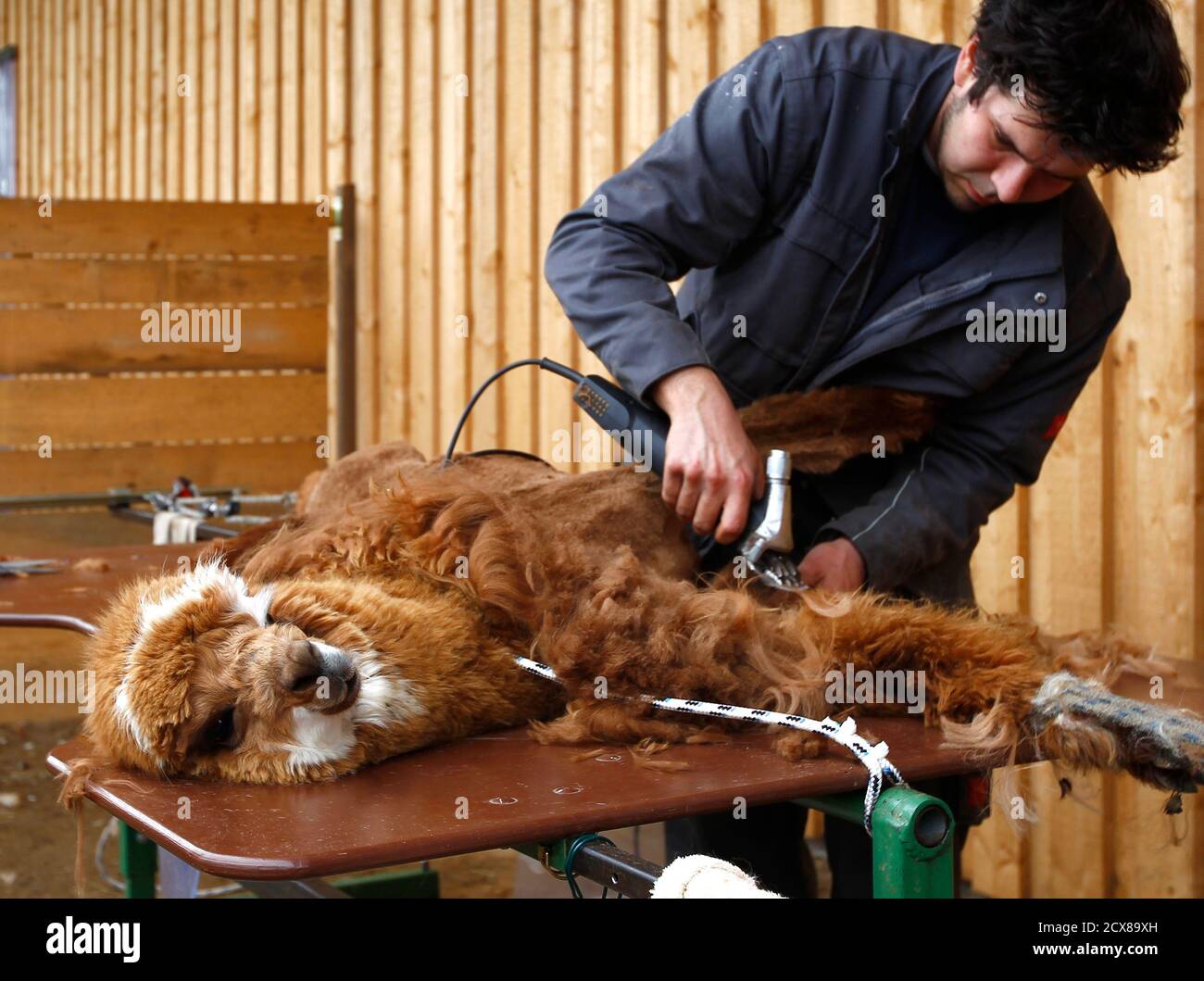 Ludwig Turban Stockfotos und bilder Kaufen Alamy