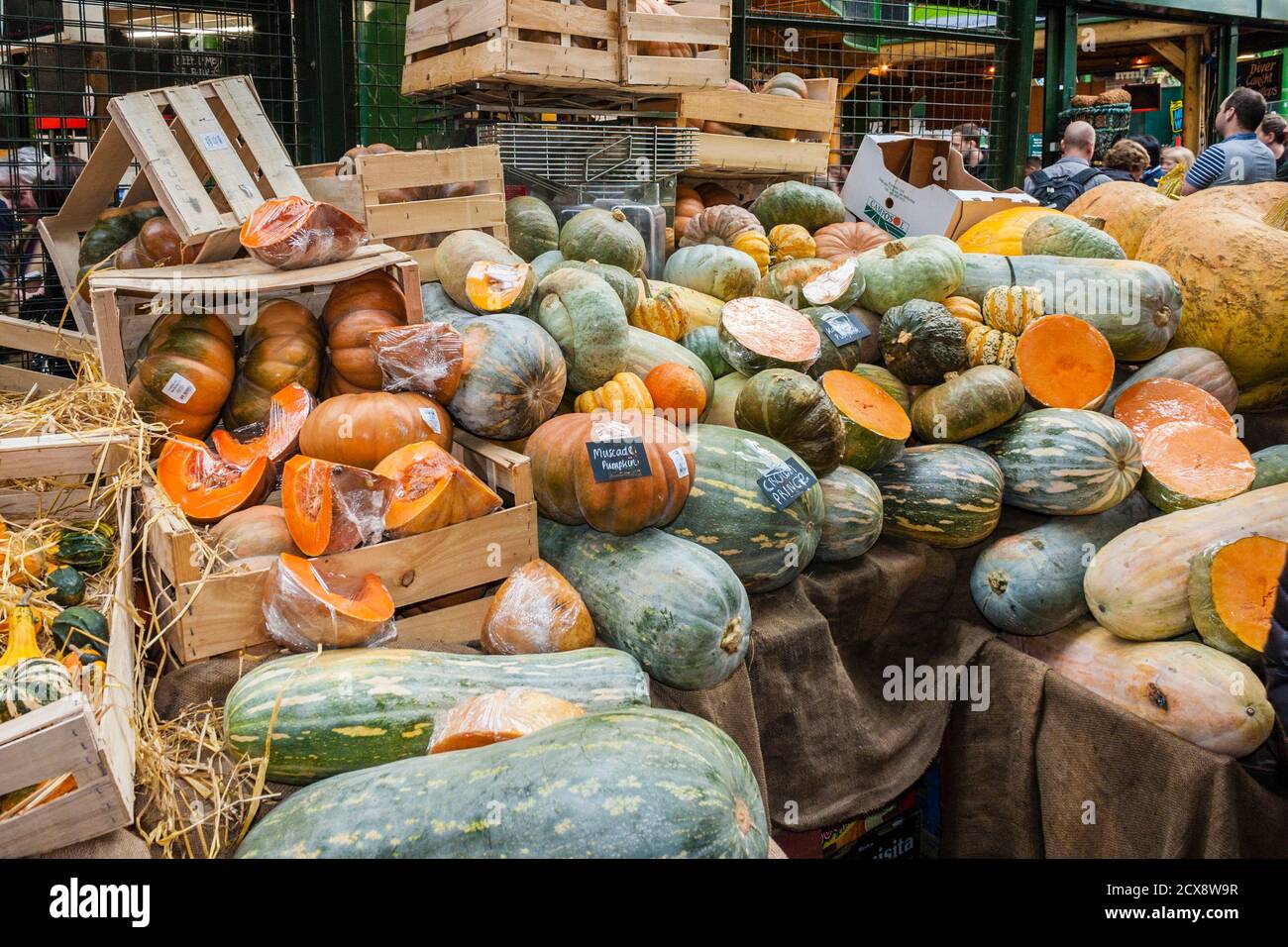 Squash, Marrows und Kürbisse zum Verkauf an einem Stand im Borough Market, London, England, GB, UK Stockfoto