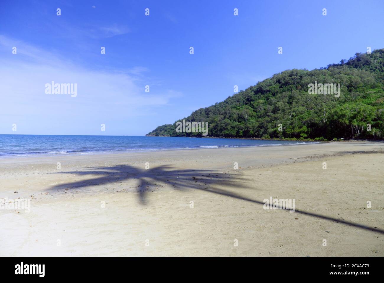 Cow Bay Daintree Queensland Stockfotos und bilder Kaufen Alamy