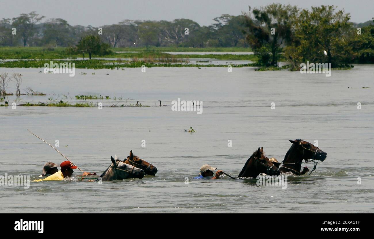 Reiten Durch Hochwasser Stockfotos Und Bilder Kaufen Alamy