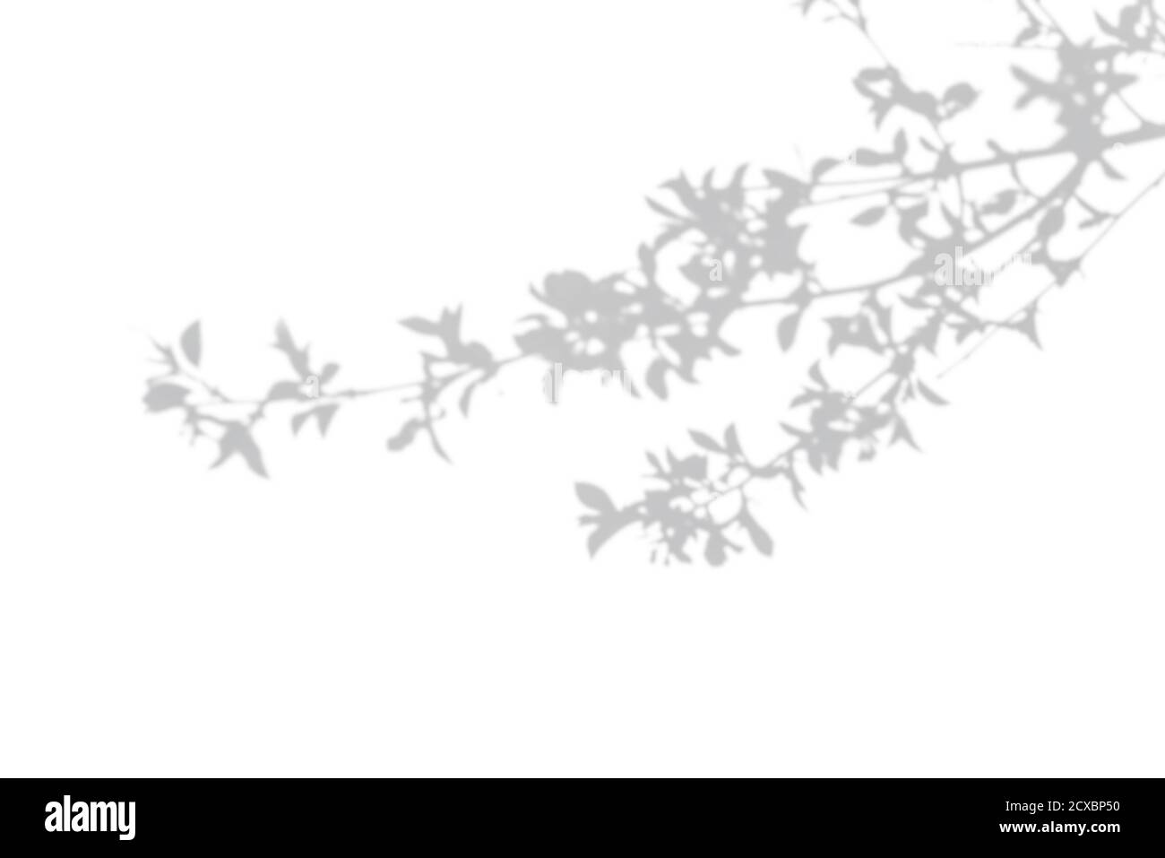 Foto-Overlay-Effekt. Grauer Schatten von Buschblättern auf einem weißen Wal Stockfoto