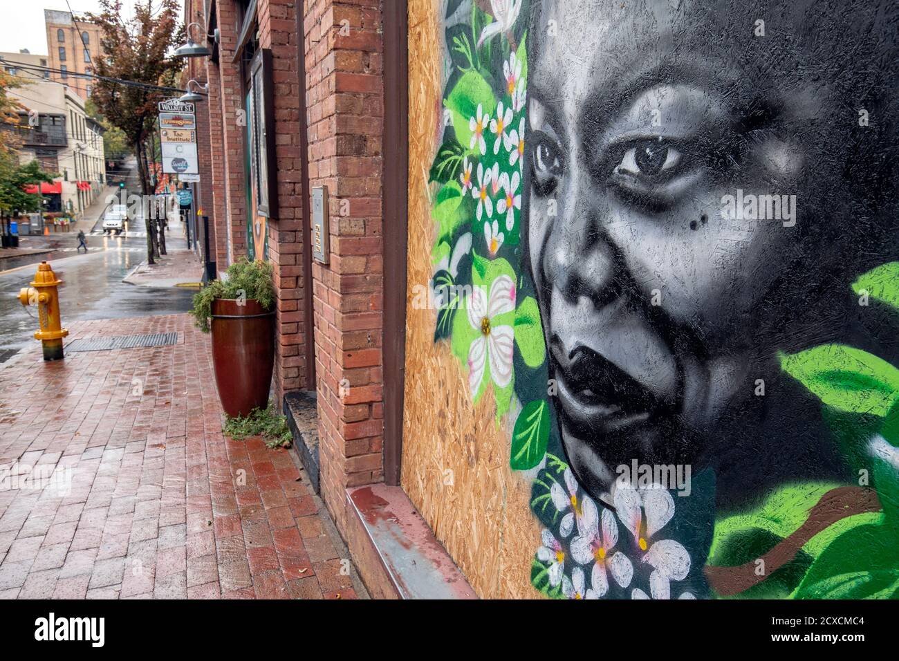 Street Art/Wandbilder zur Unterstützung der Black Lives Matter Bewegung auf der Walnut Street - Downtown Asheville, North Carolina, USA Stockfoto