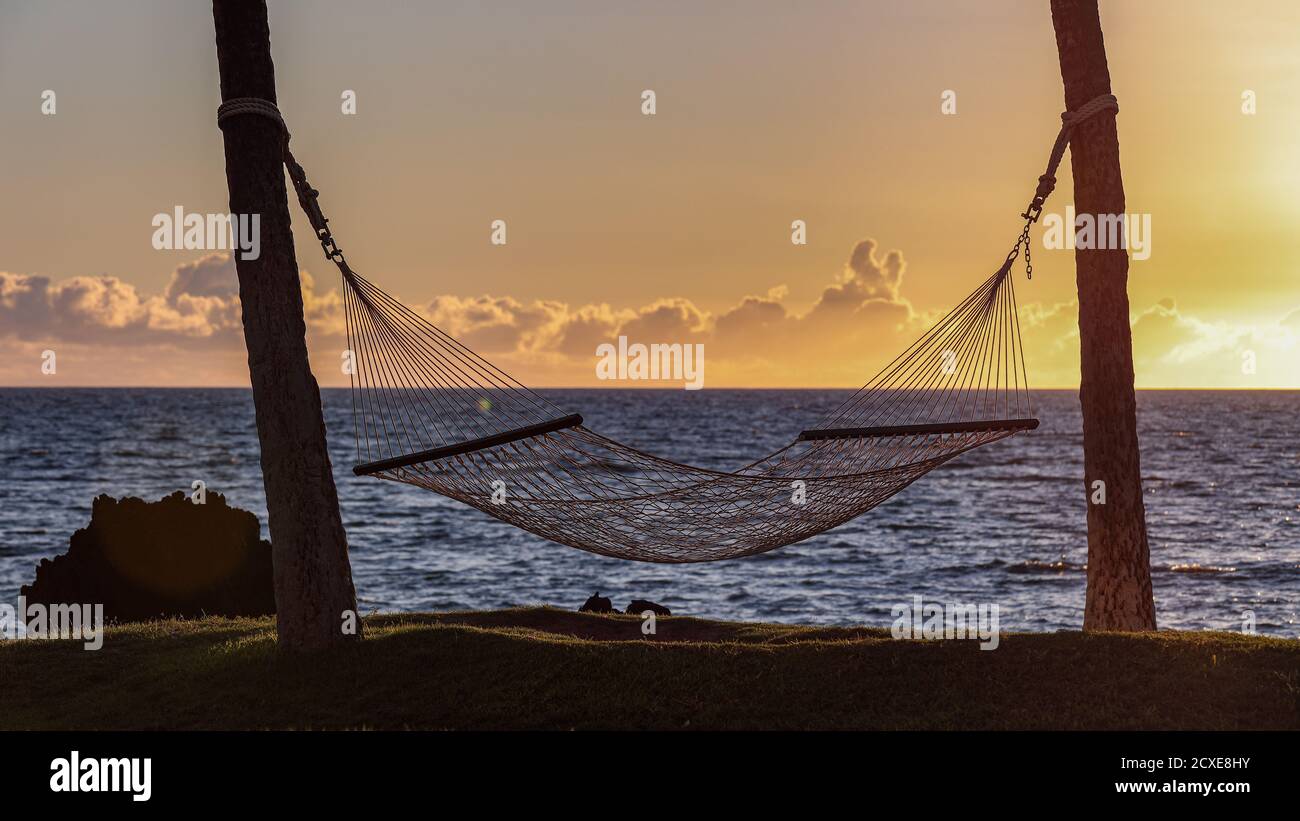 Leere Hängematte zwischen zwei Palmen gegen den malerischen Sonnenuntergang über dem Pazifik. Ruhiges Meer und Wolken über dem Horizont, Big Island, Hawaii Stockfoto