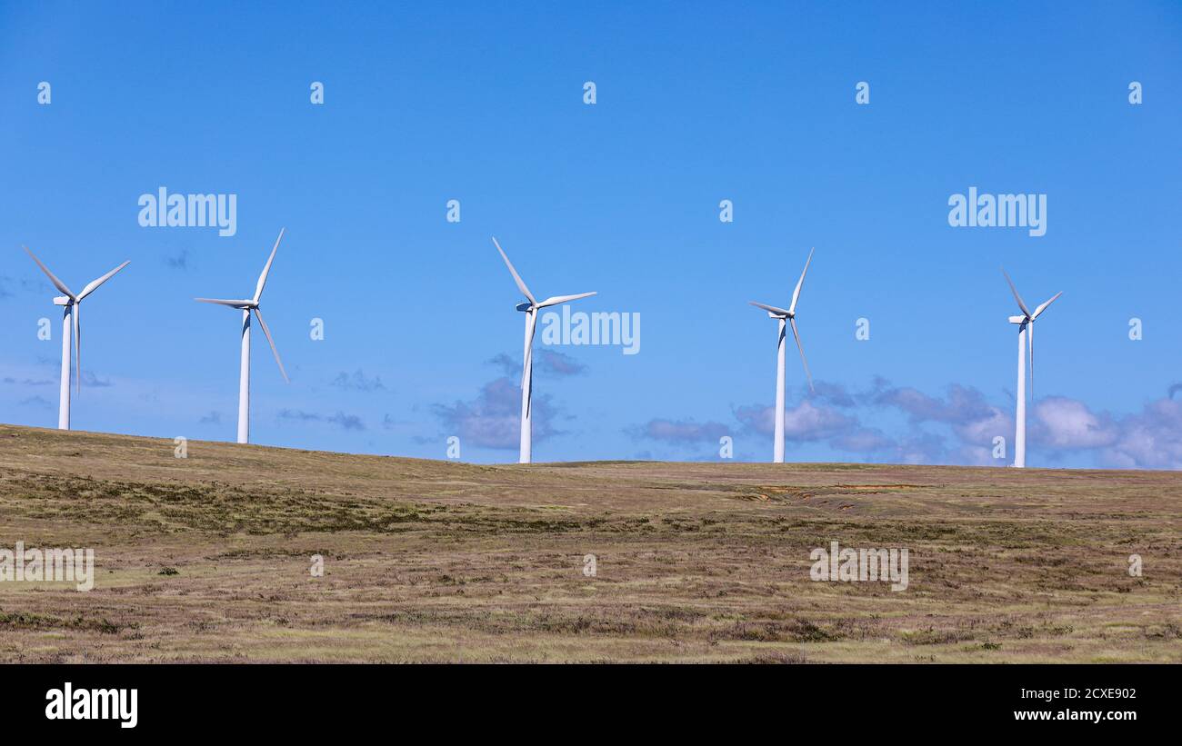 Windkraftanlagen am South Point von Big Island, Hawaii. Windturbinen auf hügeligem Gelände gegen schönen blauen Himmel mit Wolken an einem heißen sonnigen Tag. Stockfoto