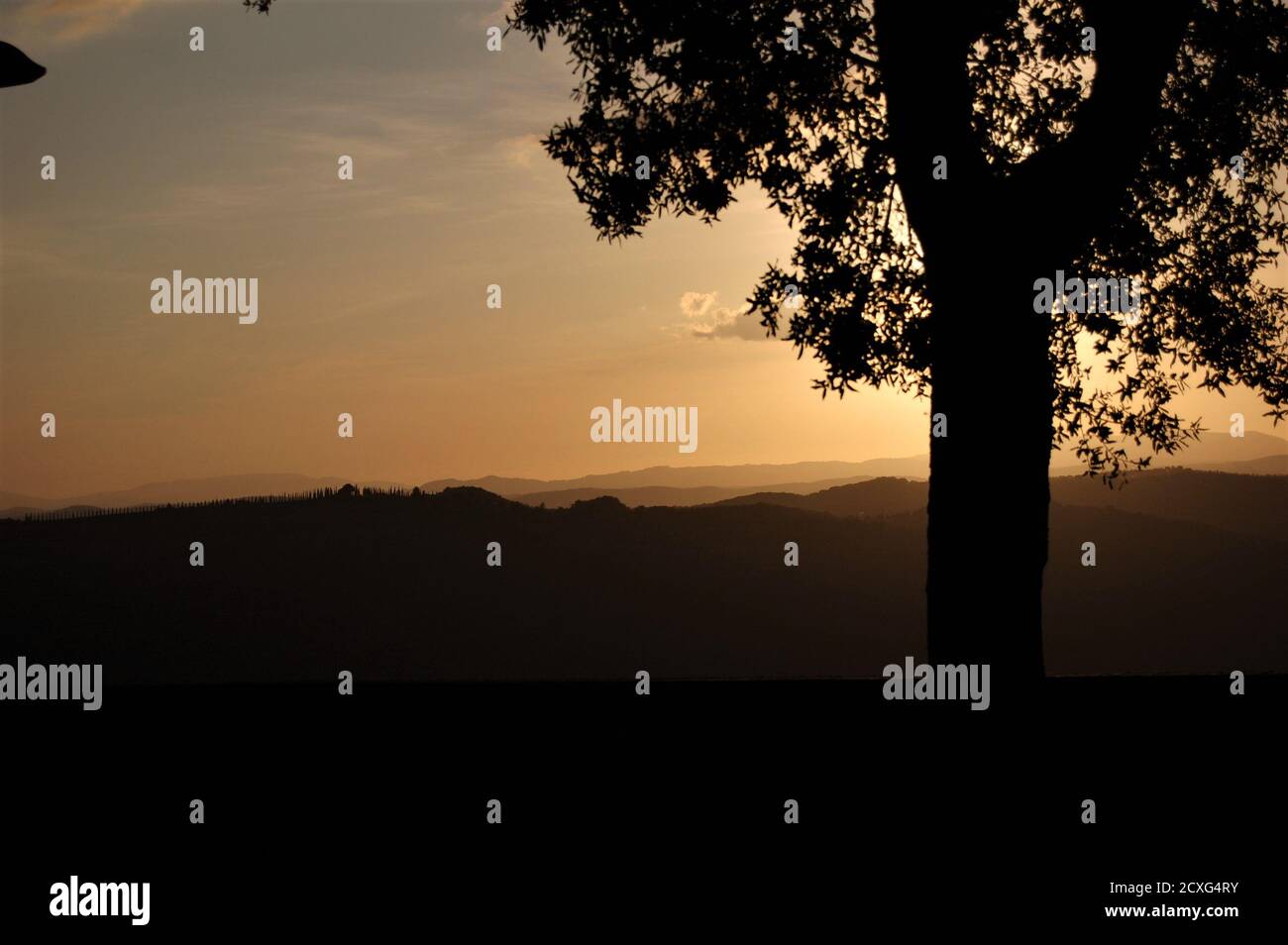 Panoramablick auf die toskanische Landschaft von Montalcino Dorf in der Sonnenuntergangslicht und eine große Baumsilhouette im Vordergrund Stockfoto