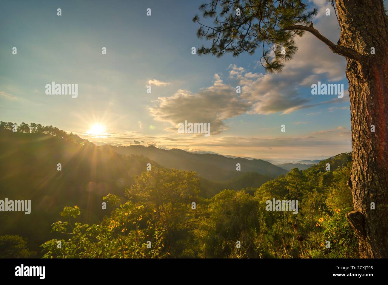 Sonnenaufgänge über dem Berg, Mount ULAP, Benguet, Philippinen Stockfoto