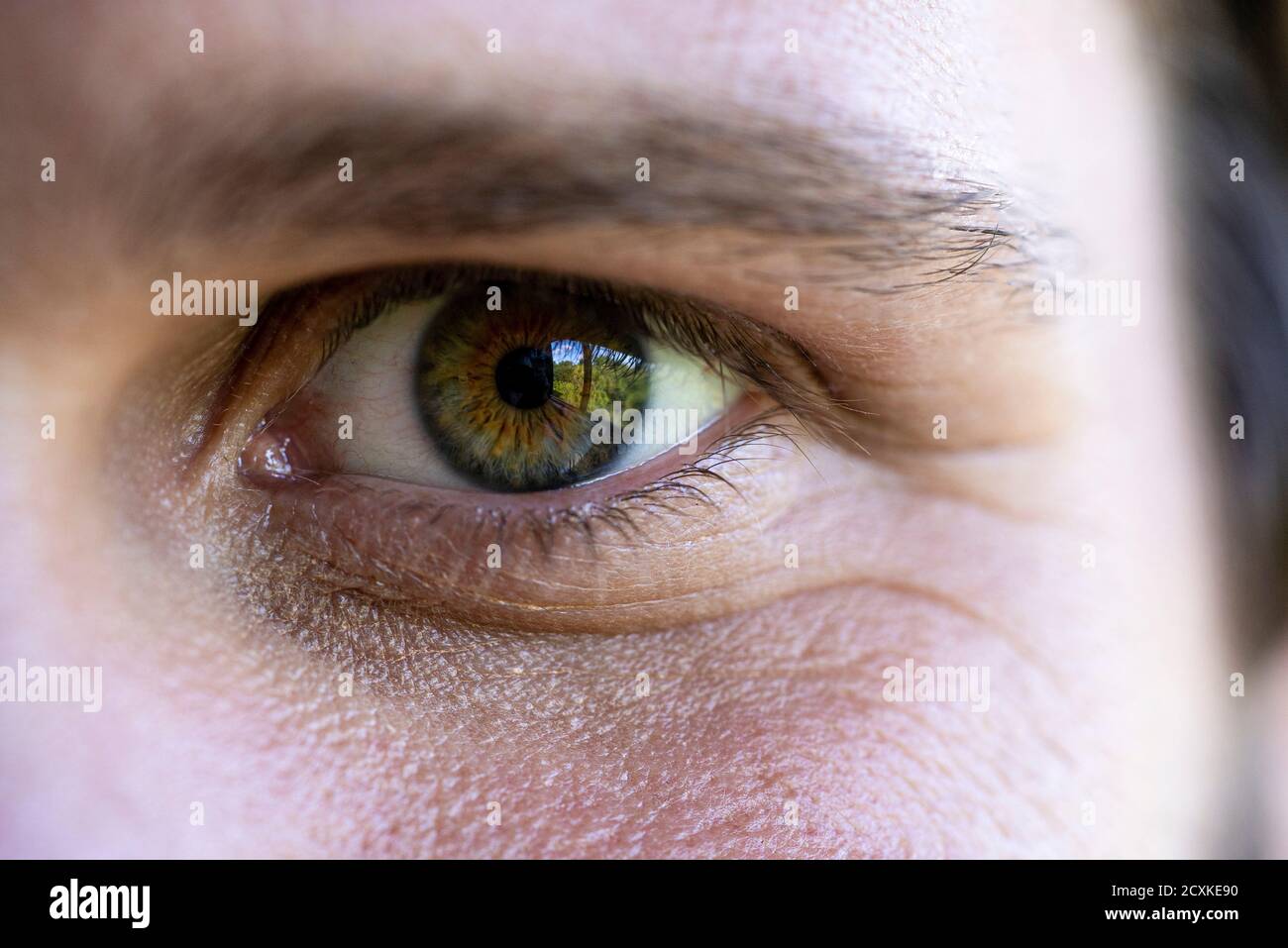 Nahaufnahme des menschlichen Auges Stockfoto