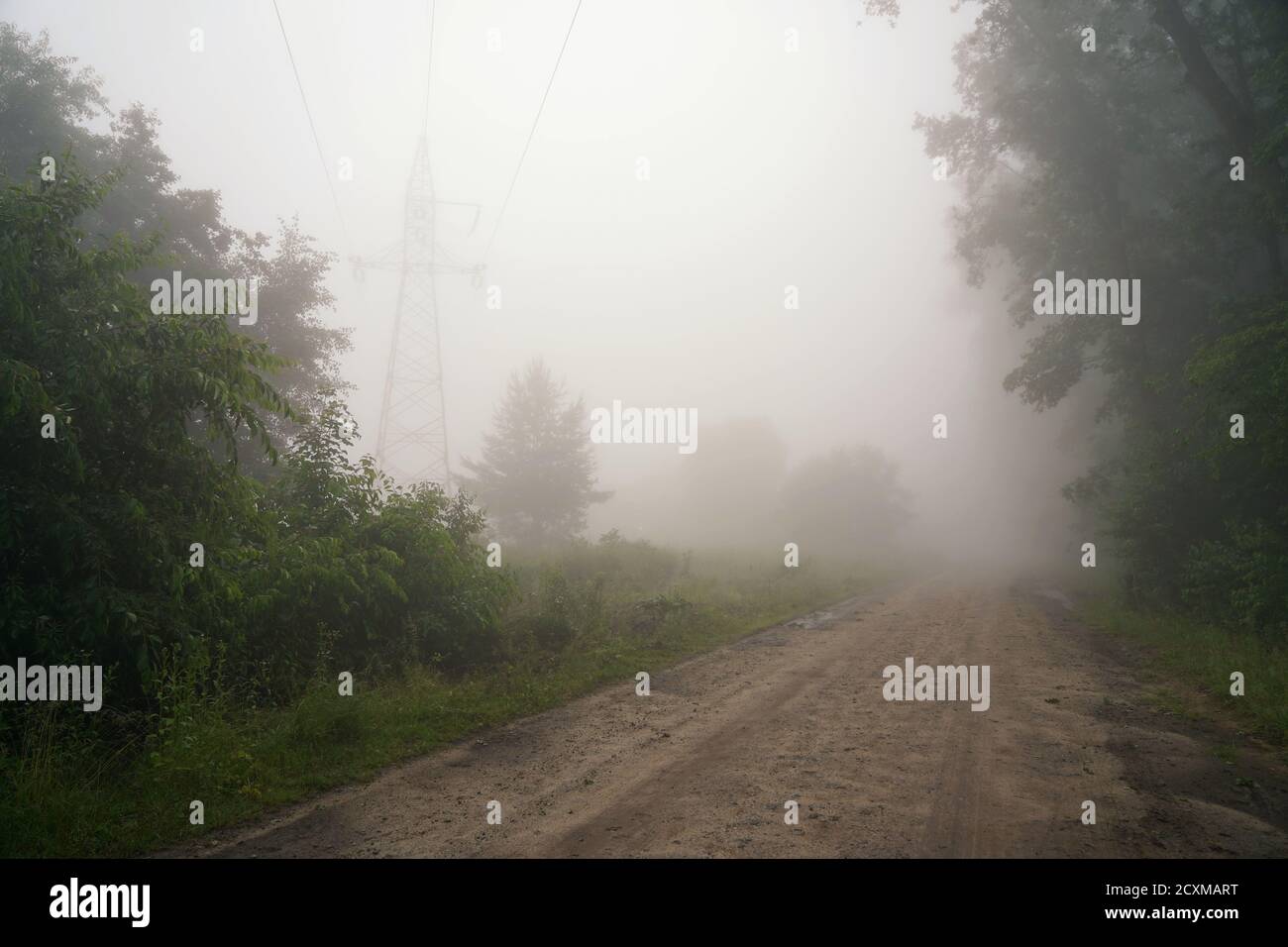 Juni Morgen, neblige Landschaft, Straße und Stromleitung verschwinden im Nebel Stockfoto