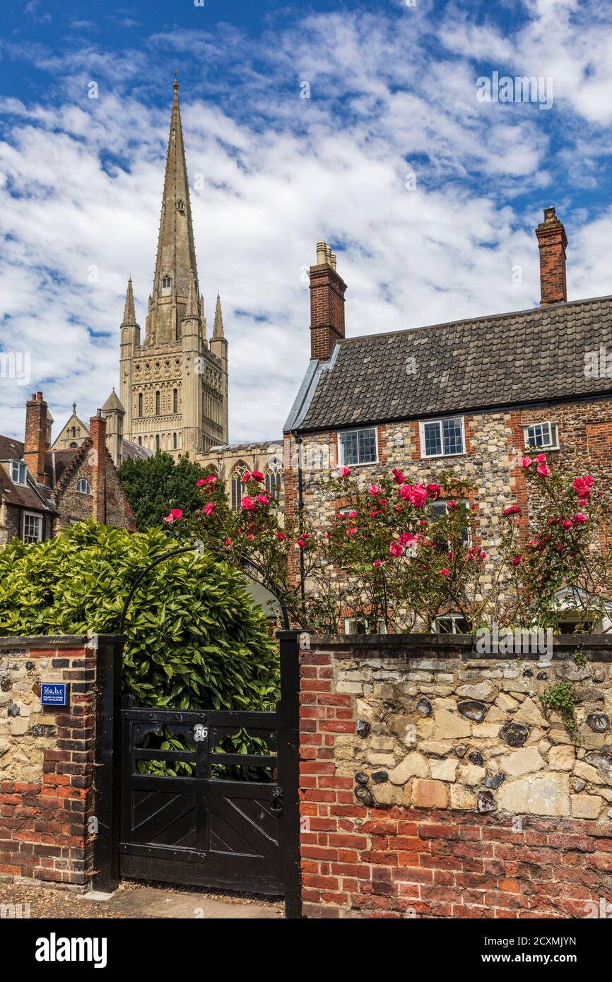 In der Nähe der Kathedrale von Norwich befindet sich die Kathedrale Close mit malerischen georgianischen Gebäuden, Norfolk, England Stockfoto