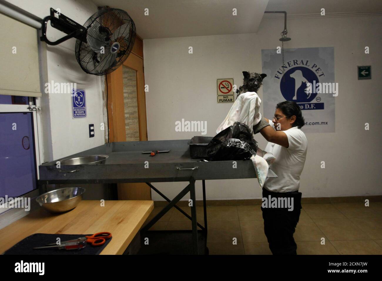 Dog Funeral Stockfotos und bilder Kaufen Alamy