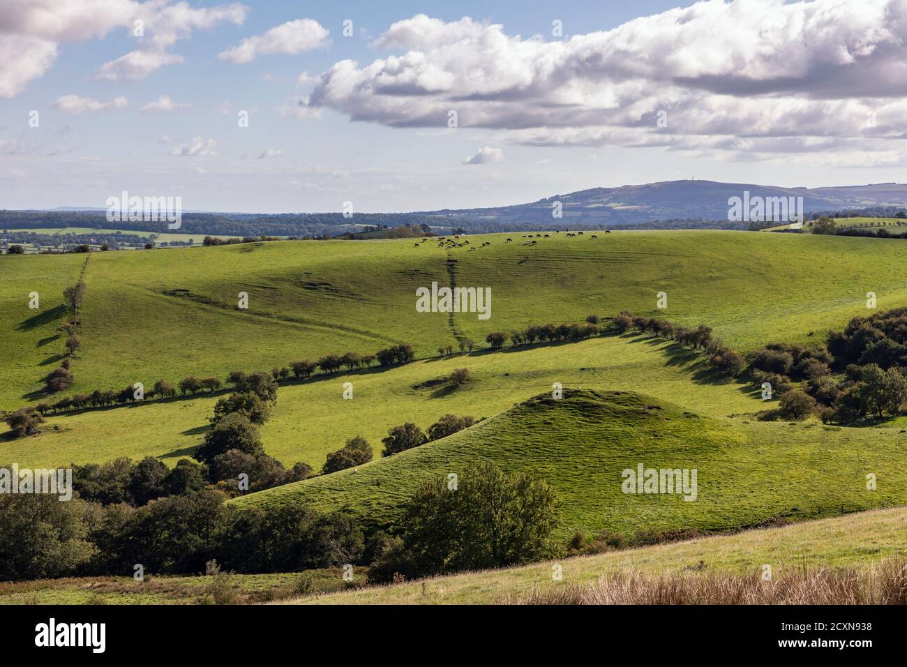 Robins Tump and the Wilderness, Shropshire Hills, in der Nähe von Church Stretton, Shropshire Stockfoto