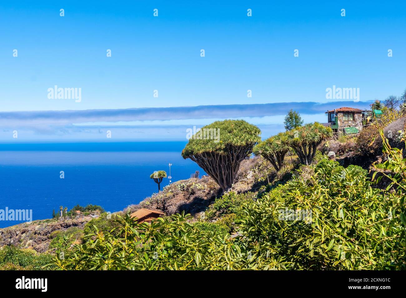 Vom Naturpark aus ist der Strand in einem hohen Winkel zu sehen Von Las tricias Stockfoto