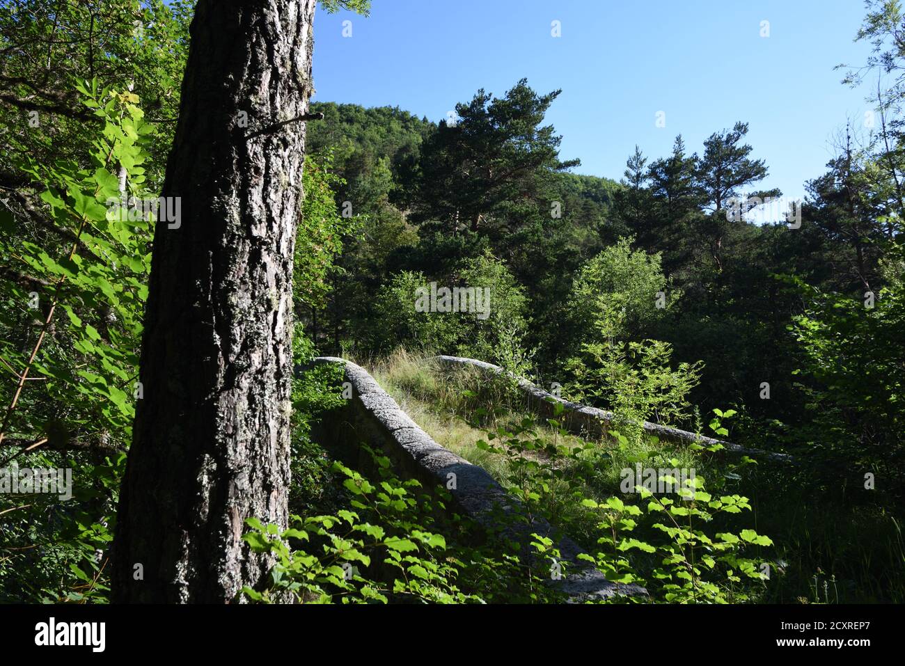 Fußgängerbrücke oder Buckelsteinbrücke, lokal als römische Brücke bezeichnet, ist aber mittelalterlich, über Asse de Blieux River Verdon Regional Park Provence Stockfoto