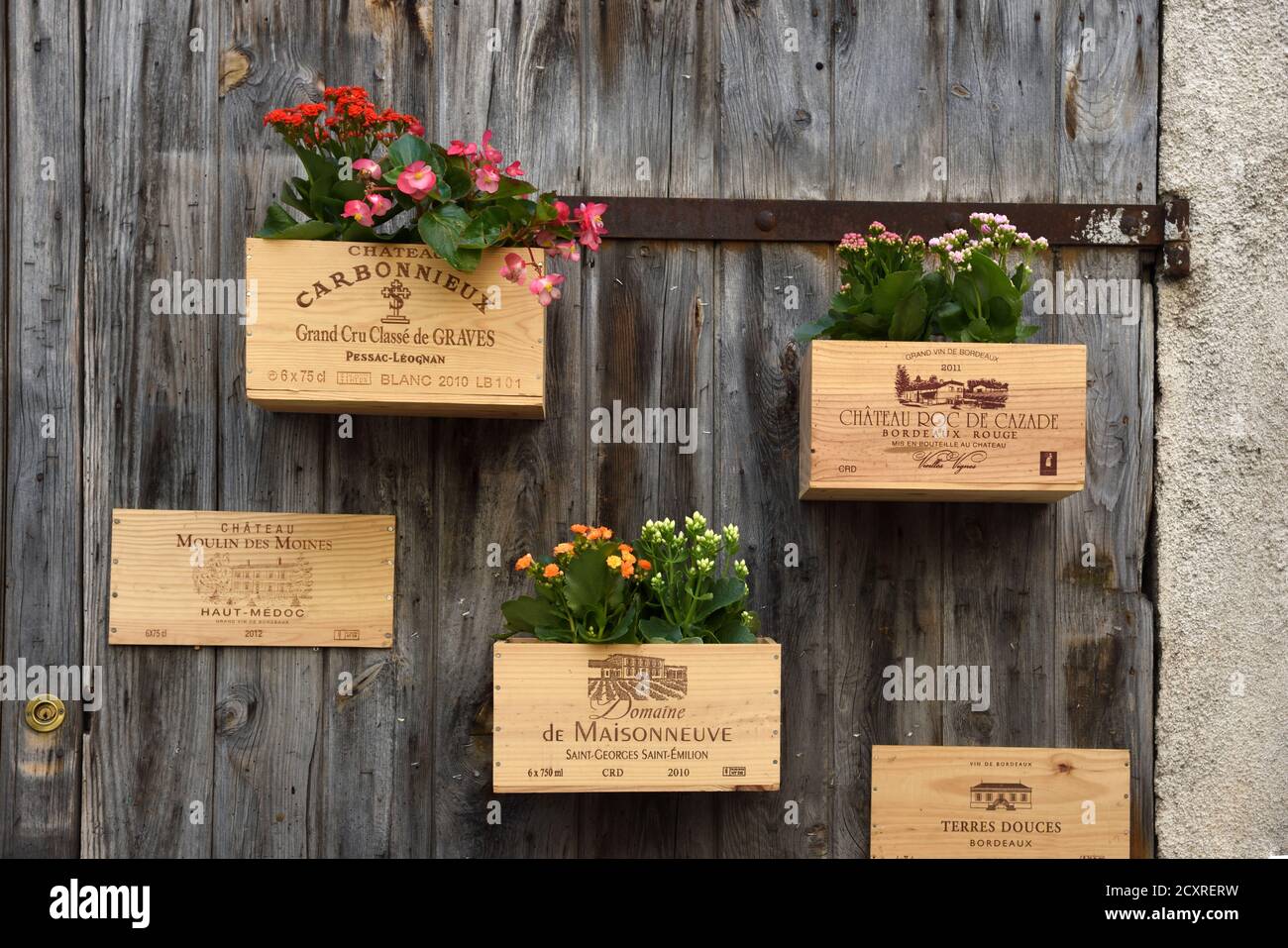 Alte Weinkisten oder Weinkisten, die als wandmontierte Pflanzgefäße oder Pflanzentöpfe, Blumentöpfe oder Fensterkästen wiederverwendet werden Stockfoto