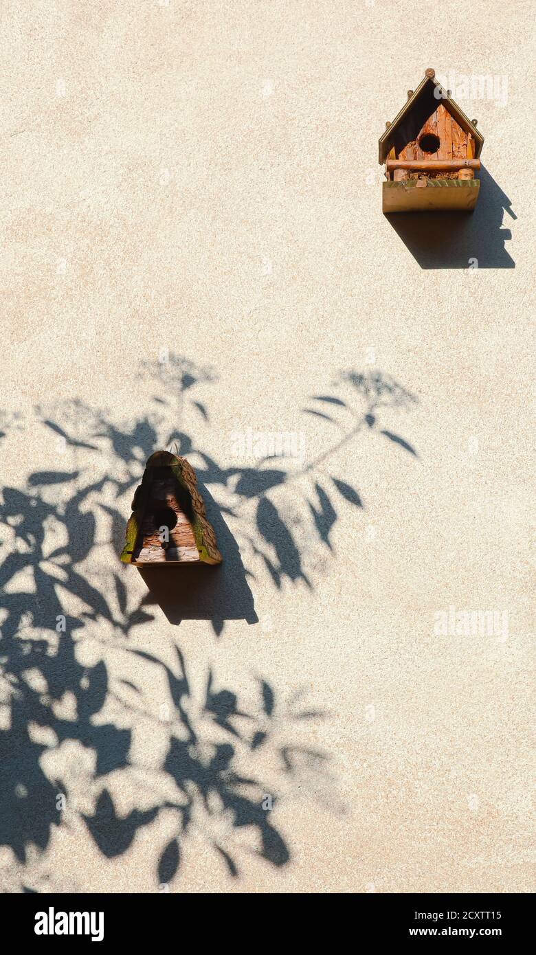 Zwei handgefertigte Holzvogelhäuser und Baumschatten auf einer hellen Zementwand, Naturschutz- und Lifestyle-Konzept Stockfoto