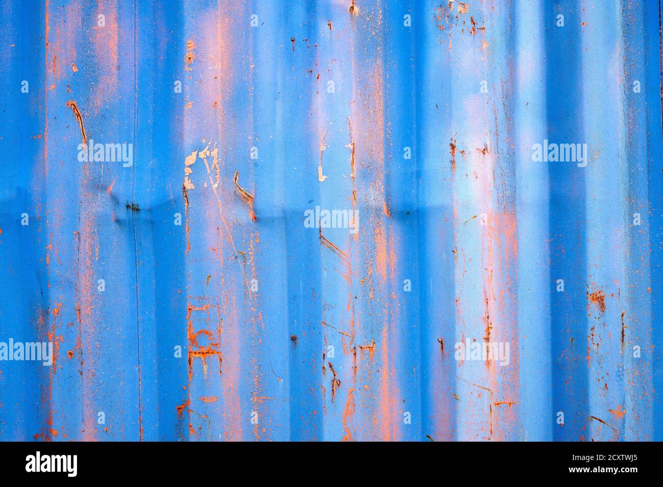 Textur aus altem rostigen Wellblech. Oberfläche mit blauer Farbe. Stockfoto