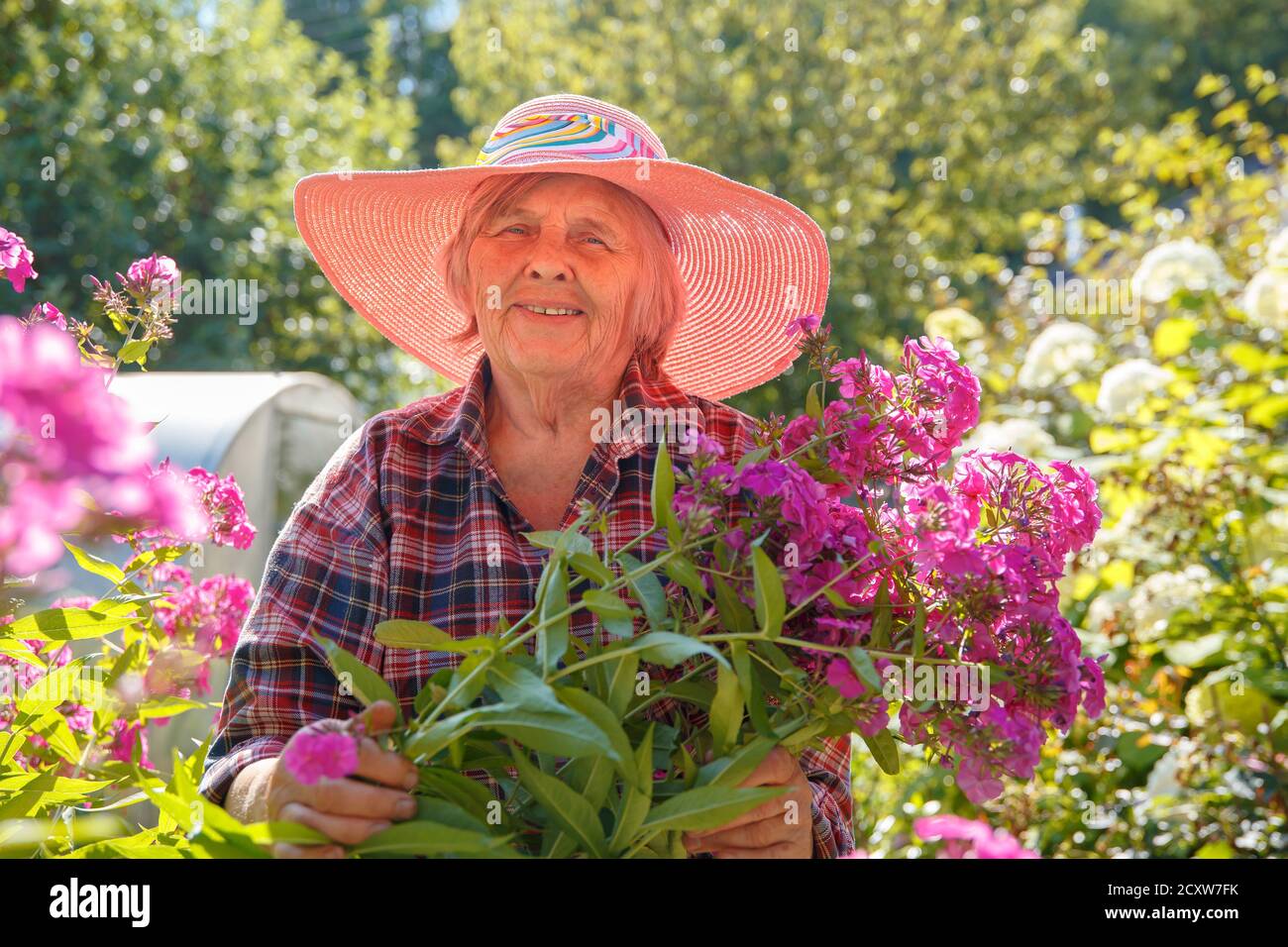 Eine ältere Frau in einem rosa Hut hält Blumen in ihrem Garten gewachsen und lächelt. Stockfoto